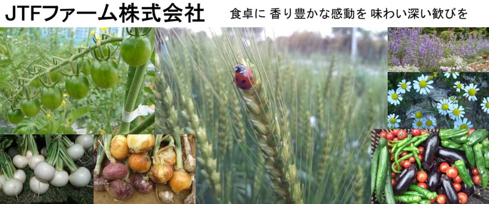 JTFファーム株式会社 (古川原農園)公式HP、日本と日本の農業を想うブログ